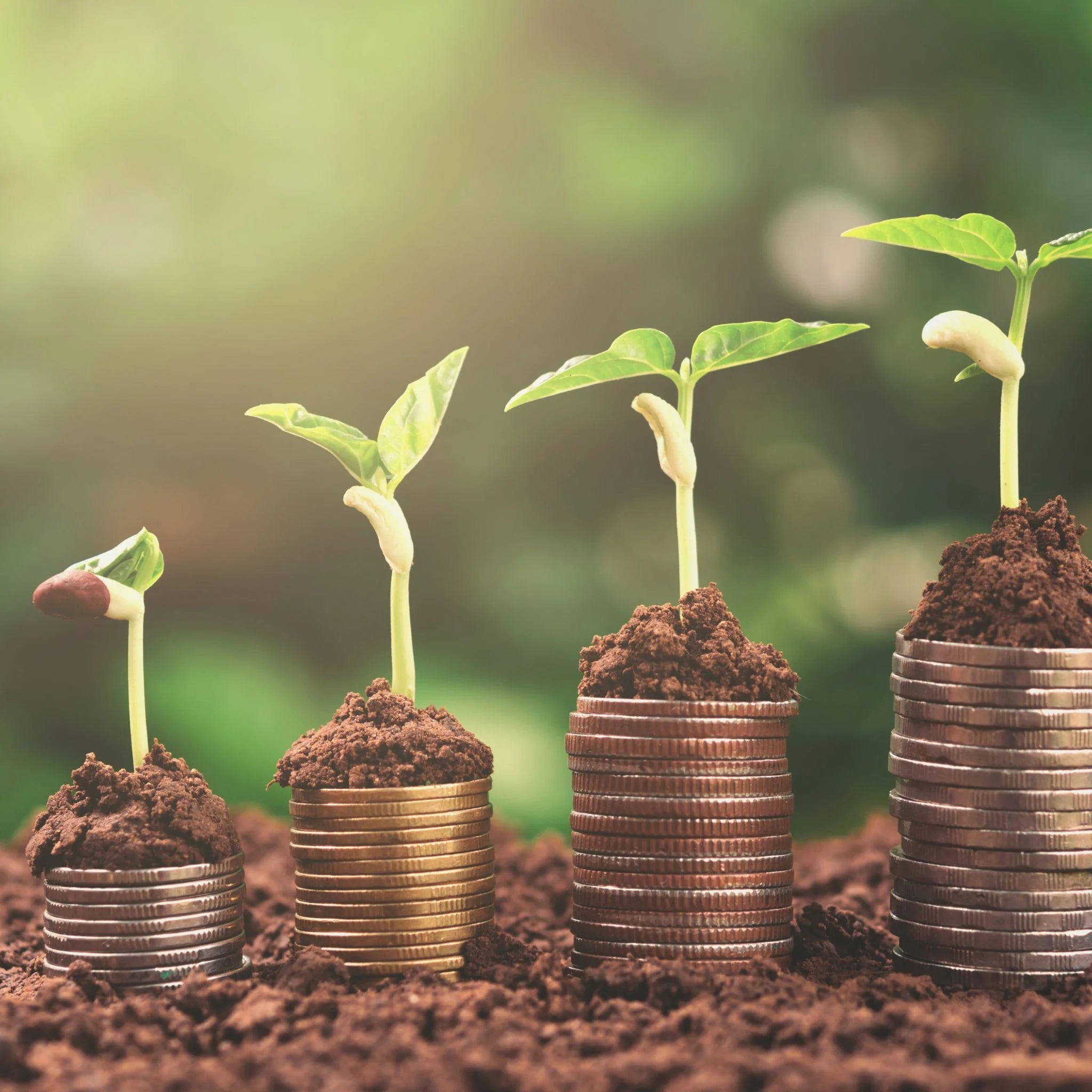 Prosperity & Success